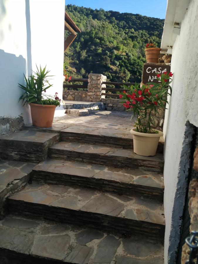 구에하르 시에라 Cortijo La Solana 게스트하우스 외부 사진