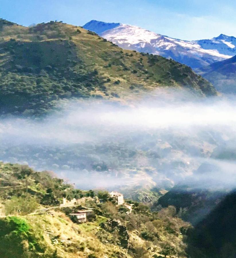 구에하르 시에라 Cortijo La Solana 게스트하우스 외부 사진