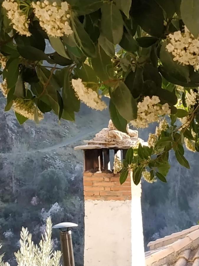 구에하르 시에라 Cortijo La Solana 게스트하우스 외부 사진