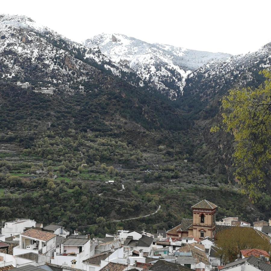 구에하르 시에라 Cortijo La Solana 게스트하우스 외부 사진