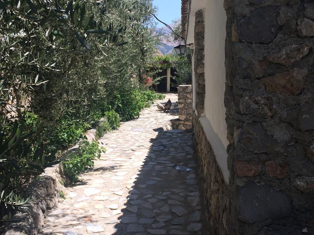 구에하르 시에라 Cortijo La Solana 게스트하우스 외부 사진